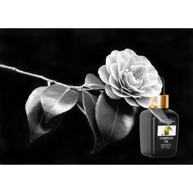Camellia Oil