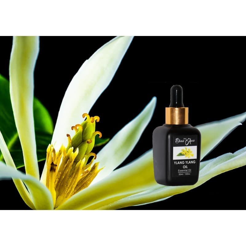 Ylang Ylang Oil