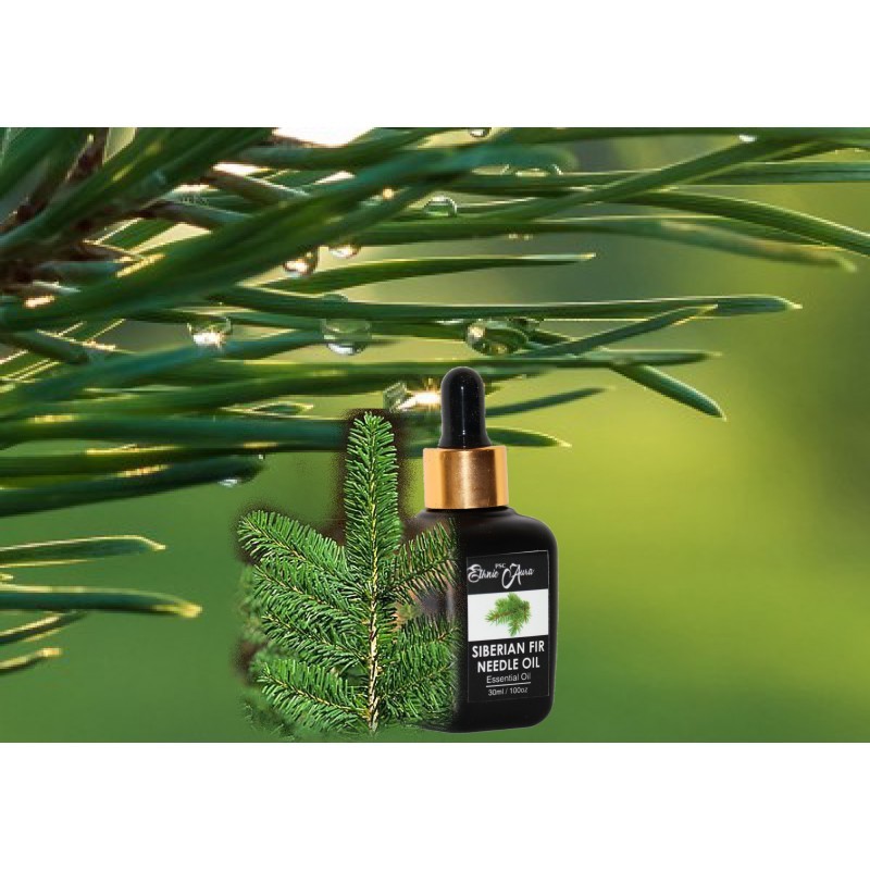 Siberian Fir Needle Oil