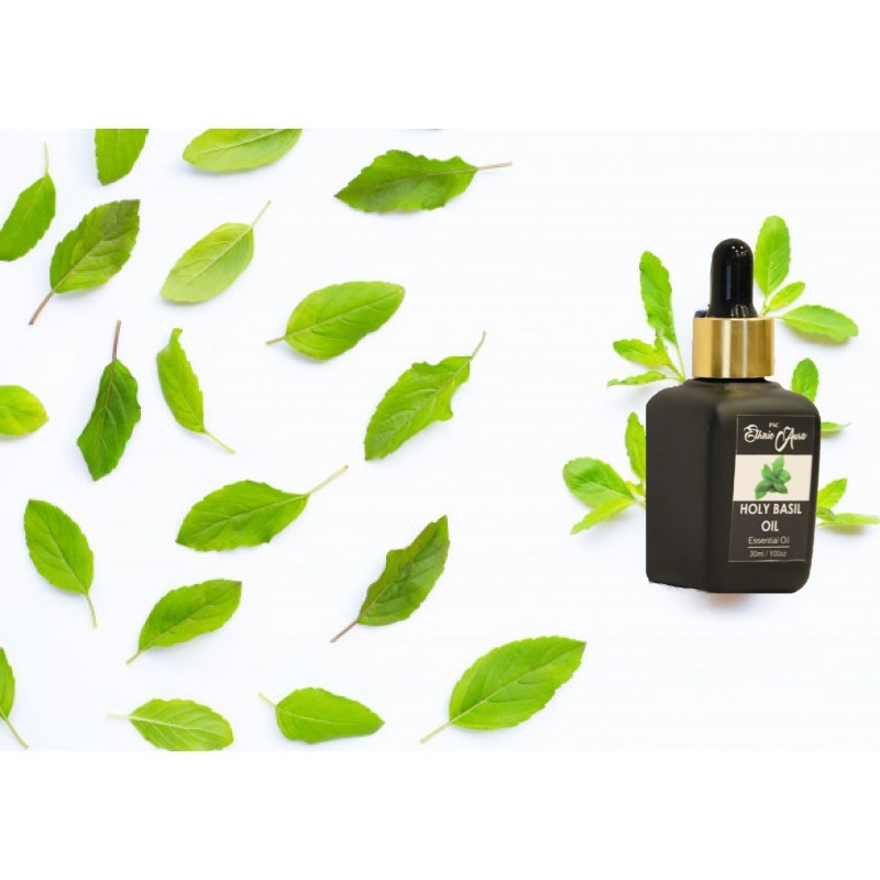 Holy Basil Oil