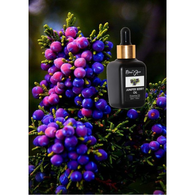 Juniper Berry Oil